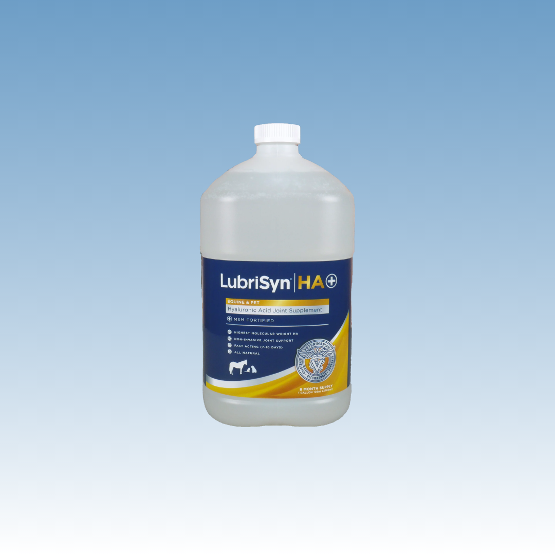 Lubrisyn EQ Oral HA Plus MSM